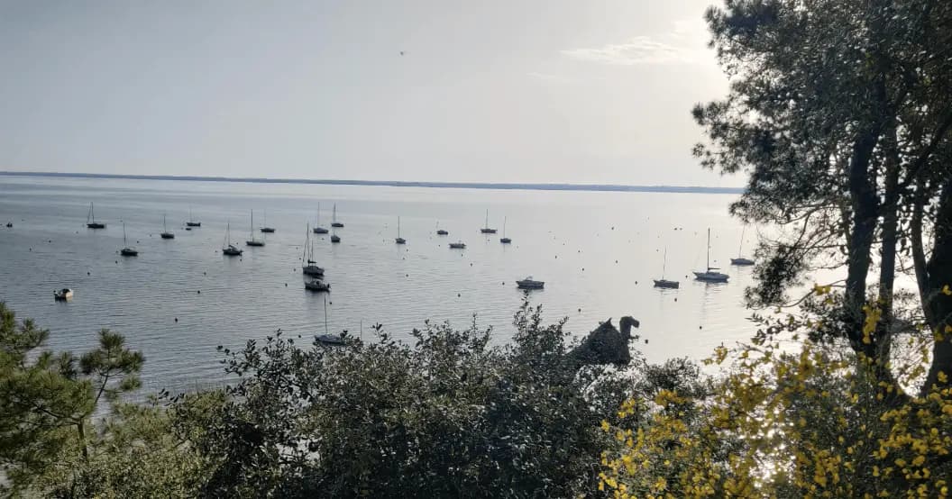 Maisons Lac Maubuisson — vue 9