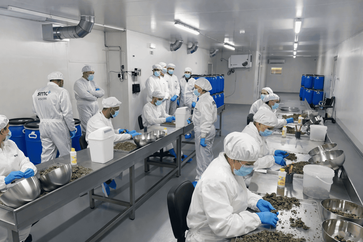 Usine pharmaceutique Braga 🇵🇹 — vue 10