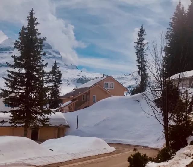 Chalet Hameau de Flaine