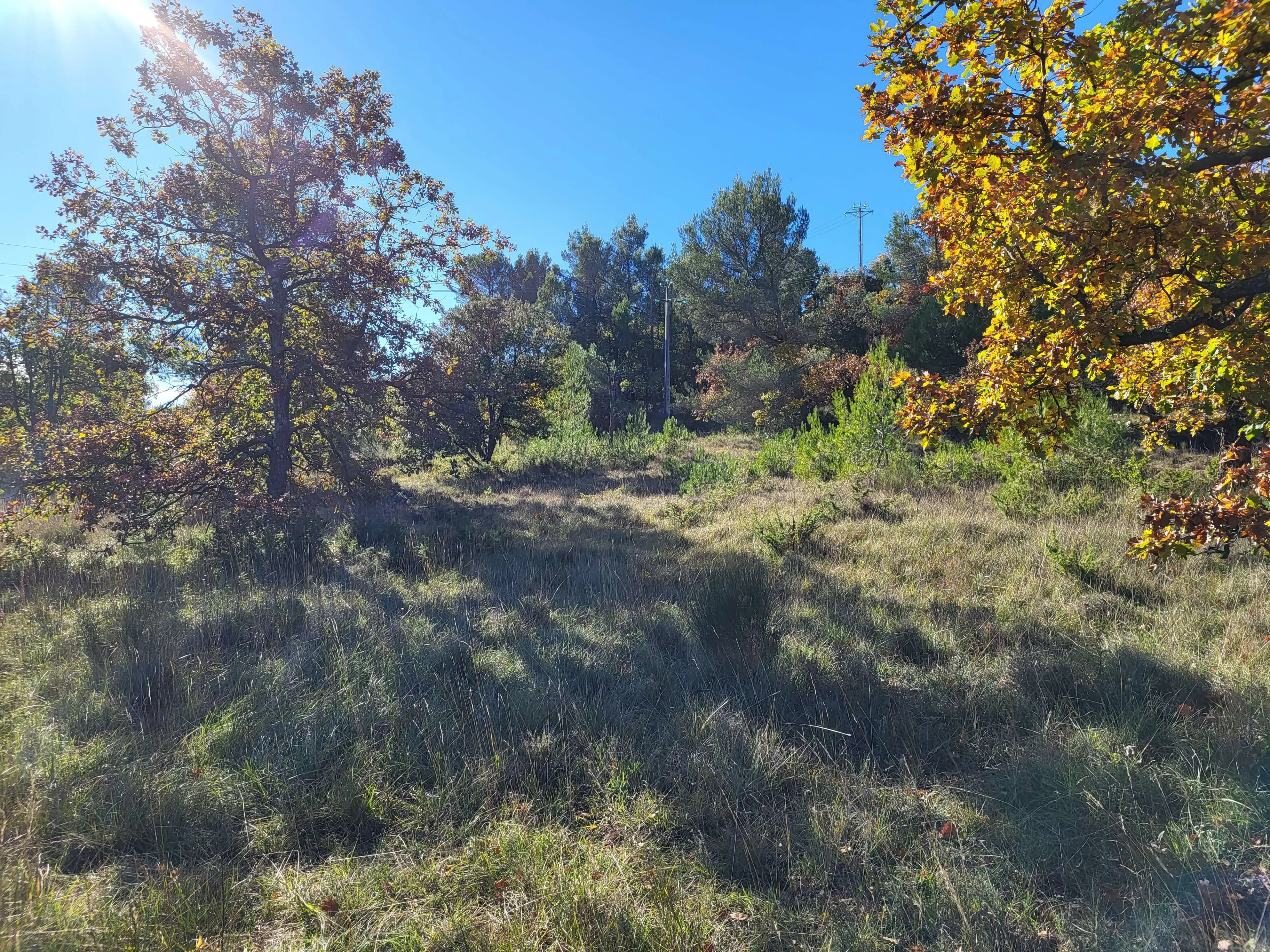 Division Terrain Montmeyan — vue 2