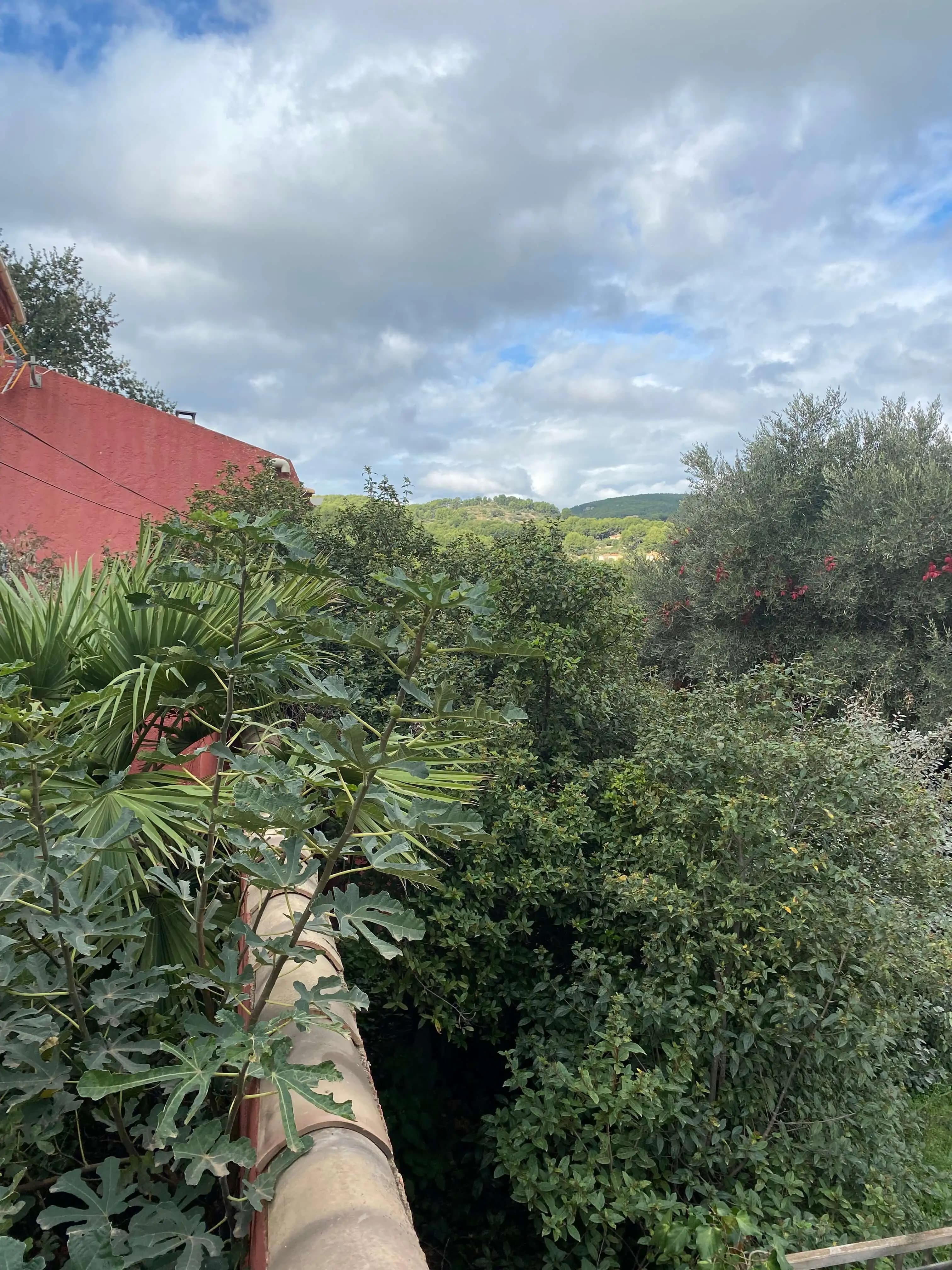 Division Sanary-sur-Mer — vue 4