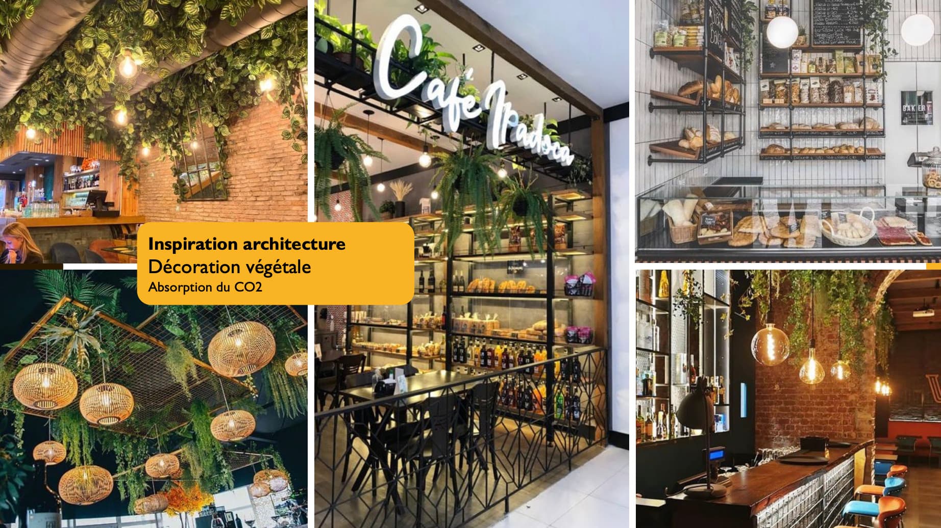 New Tropicana Boulangeries — vue 10