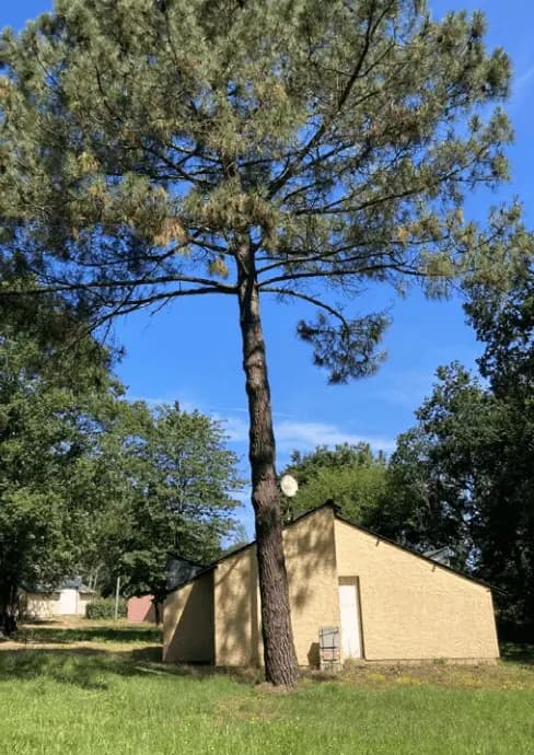Écovillage Brocéliande — vue 4