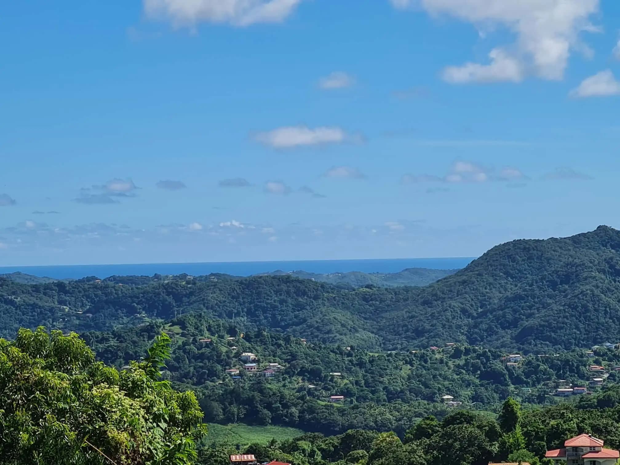 16 parcelles Morne Honoré Martinique — vue 2
