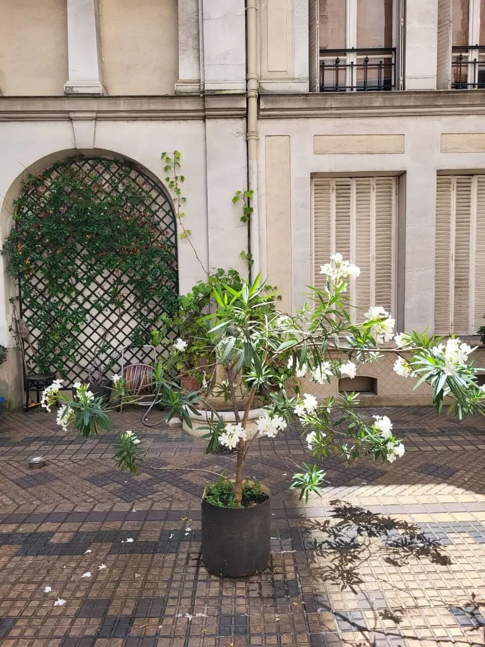 Studio Assas Paris 6e — vue 2