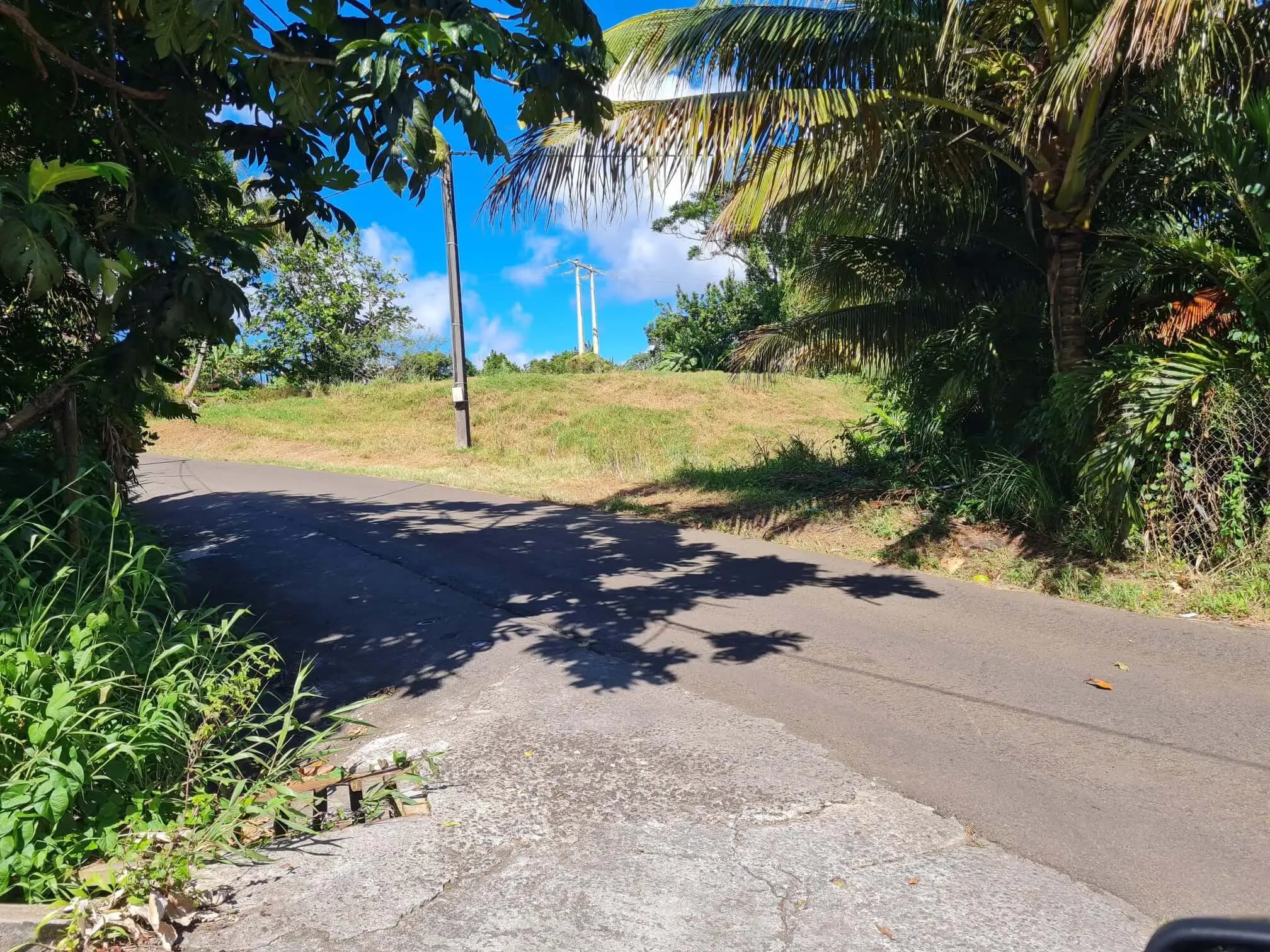 16 parcelles Morne Honoré Martinique — vue 3